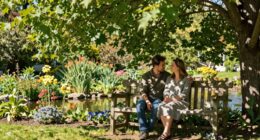 environmental values influence compatibility