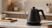 stylish efficient boiling appliances