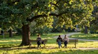 valuing independence in relationships