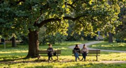 valuing independence in relationships