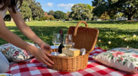 14 Best Romantic Outdoor Picnic Accessories in 2026