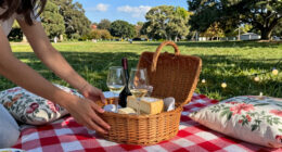 14 Best Romantic Outdoor Picnic Accessories in 2026